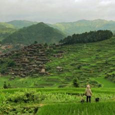 green mountains with many terraces